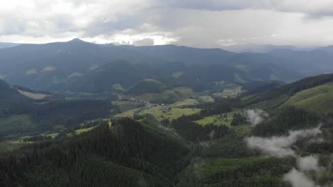 Carpathians · mist