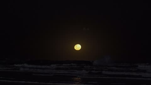 Moonlit sea